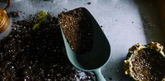 Частичная замена почвы для комнатных растений