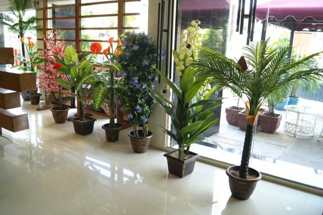Декоративные растения в фойе здания