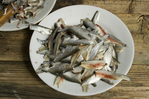 Домашняя килька. Рецепт вкусной кильки домашнего посола. Фото — Ботаничка