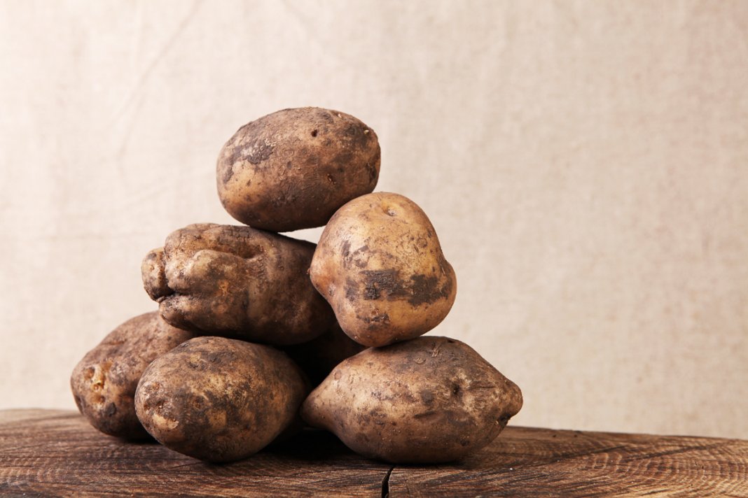 Сорта картофеля для Волгоградской области названия, фото, описание