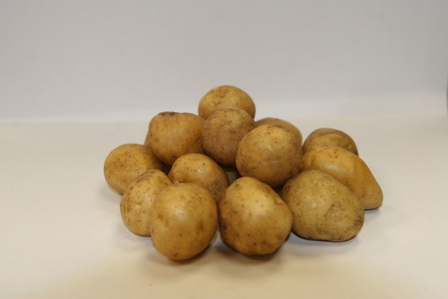 Сорт картофеля для Дальневосточного региона - Валентина