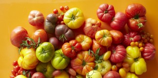 Лучшие новые сорта и гибриды томатов для теплицы и открытого грунта