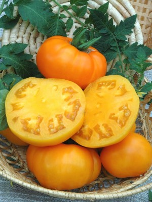 Самые вкусные томаты! Серия томатов «Вкуснотека» от агрохолдинга ПОИСК ...