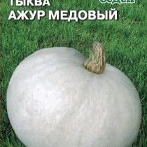 Тыква Ажур медовый от агрофирмы «СеДеК»