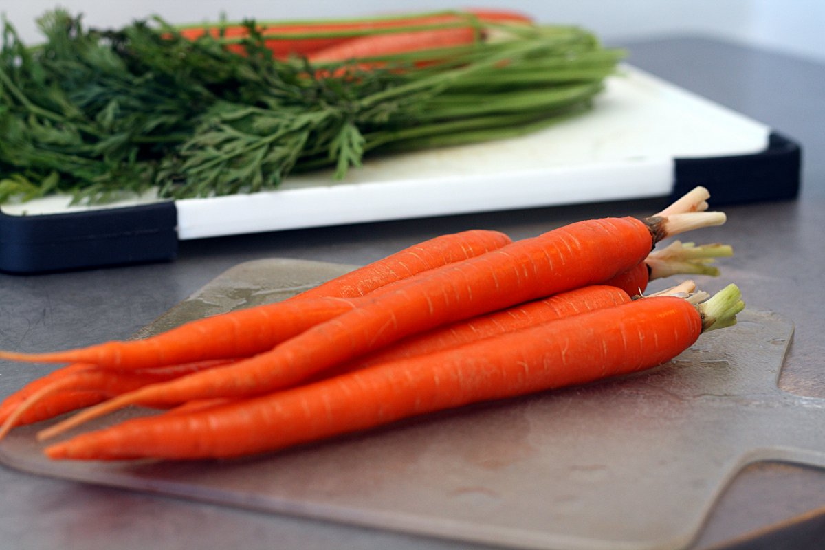 Выращиваем морковь. Посадка, уход. Свойства, вредители. Фото — Ботаничка