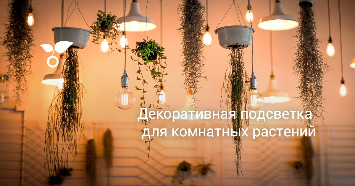 Декоративная подсветка для комнатных растений. Виды, приборы. Для каких ...