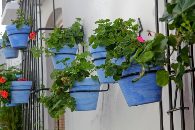 Для вертикальных горшечных садов на открытых балконах особое внимание нужно уделить устойчивости конструкций