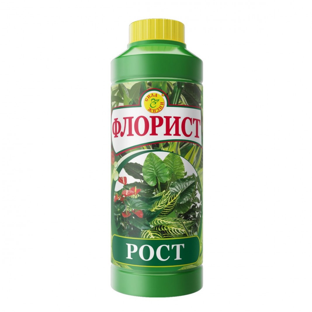 Гейхеры в саду — Ботаничка