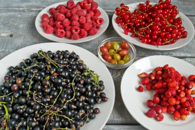 Ассорти из садовых ягод для варенья