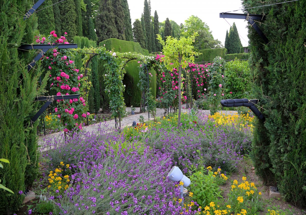 Мусульманский стиль сада — строгость линий и роскошь растений. Ландшафтный дизайн. Фото — Ботаничка