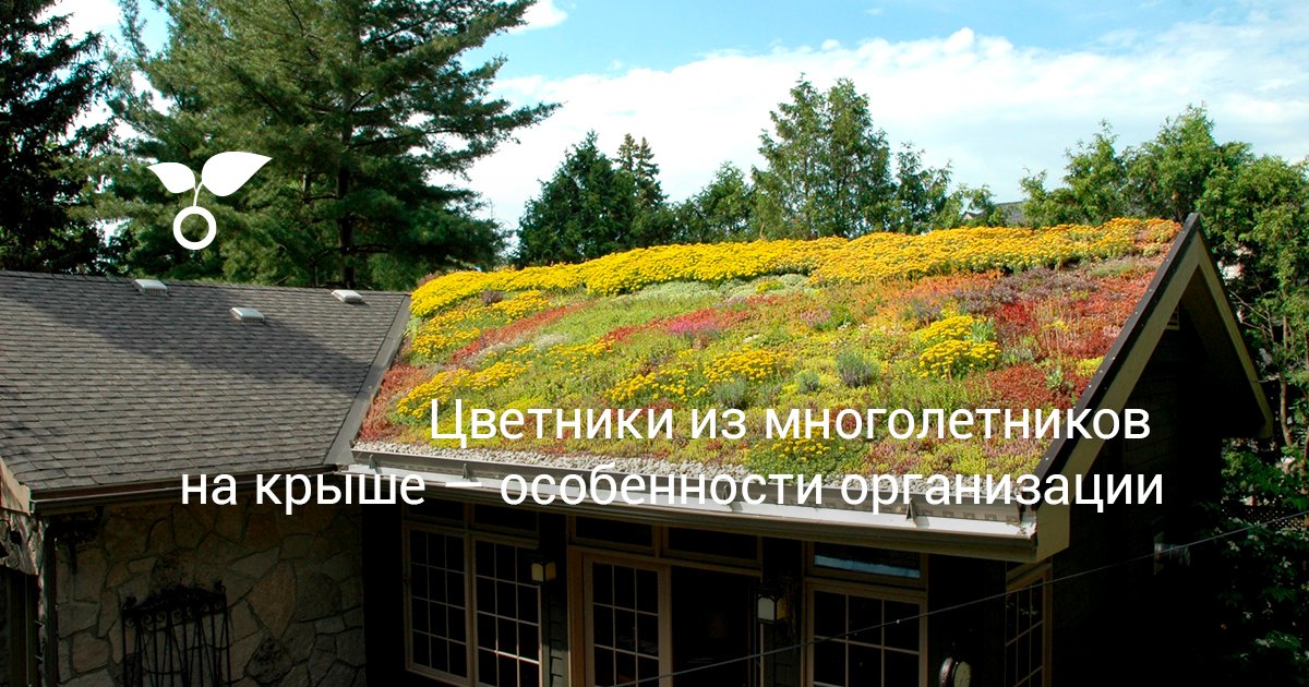 Сад на крыше