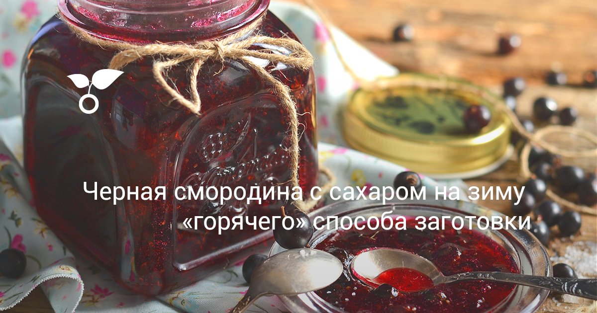 Черная смородина с сахаром на зиму без варки пошаговый рецепт