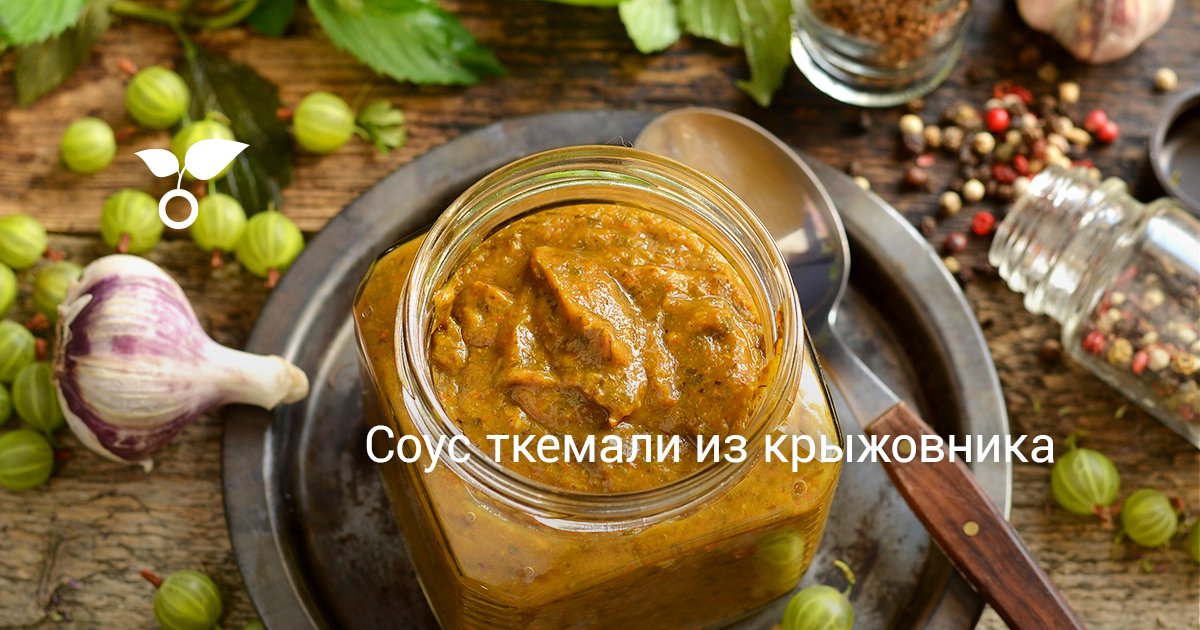 Аджика из крыжовника на зиму. Соус из крыжовника. Коктейль из крыжовника. Специя для густой подливки. Ткемали актер.