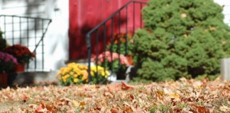 15 серьёзных ошибок, которые нельзя допустить осенью в саду