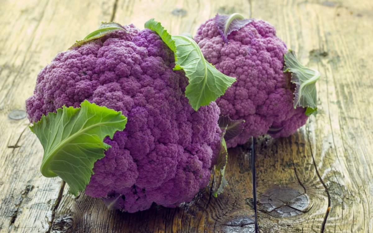 7 полезных и вкусных фиолетовых овощей, которые я выращиваю. Описание. Фото— Страница 7 из 7 — Ботаничка