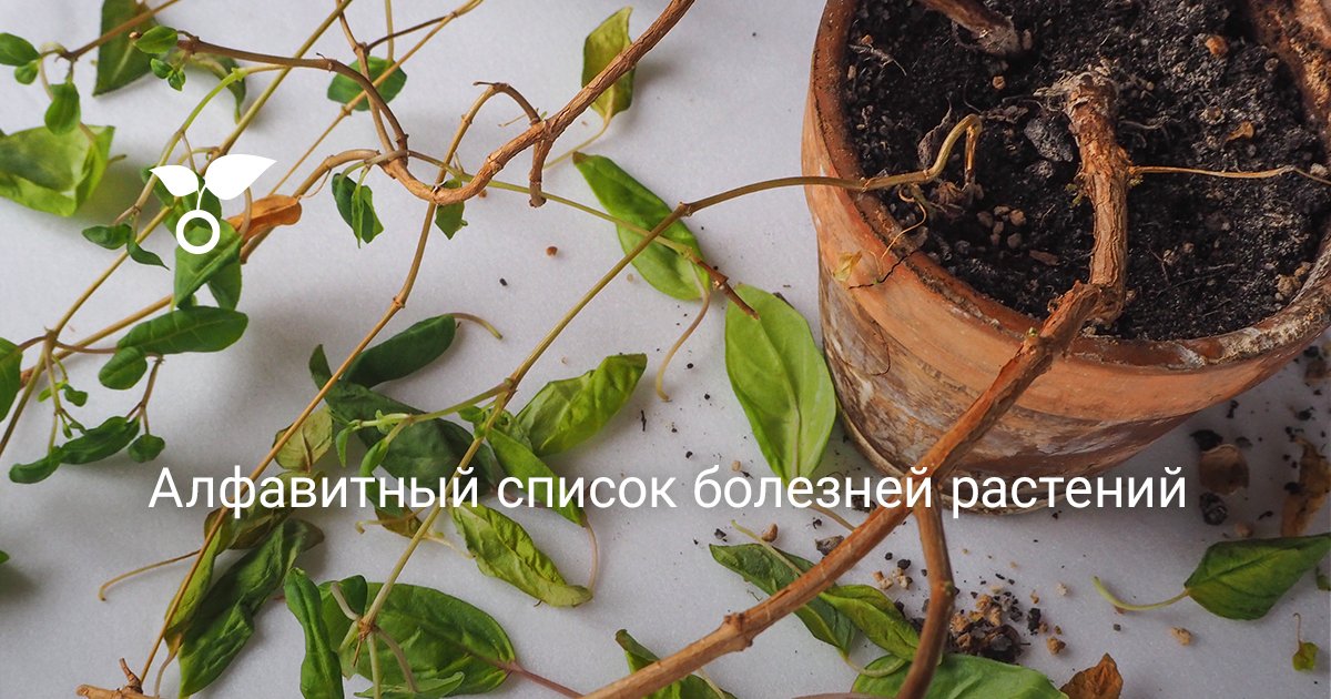 Алфавитный список болезней растений — Ботаничка