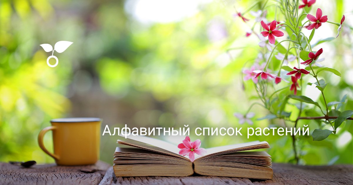 Каталог растений сайта Gardenia.ru