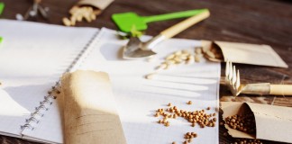 6 правил стратификации семян в домашних условиях