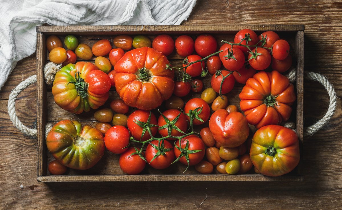 11 интересных сортов томатов: опыт выращивания и рекомендации