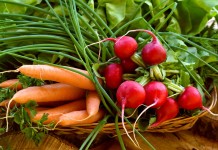 9 овощей для «быстрого» урожая