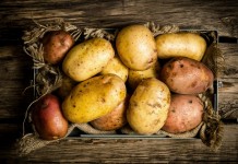Почему гниёт картофель при хранении, и как этого избежать?
