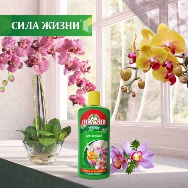 Удобрение «Reasil® для орхидей»