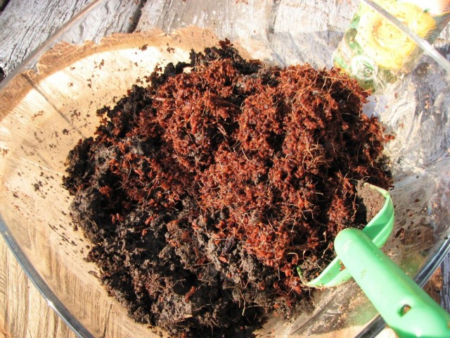 Кокосовый субтрат для комнатных растений можно использовать и в чистом виде, и в составе почвосмесей