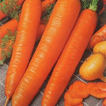 Морковь «Монастырская»