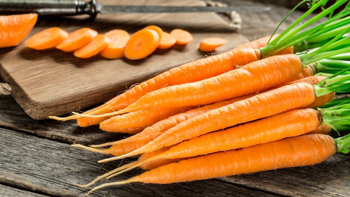 Сорта длинной моркови