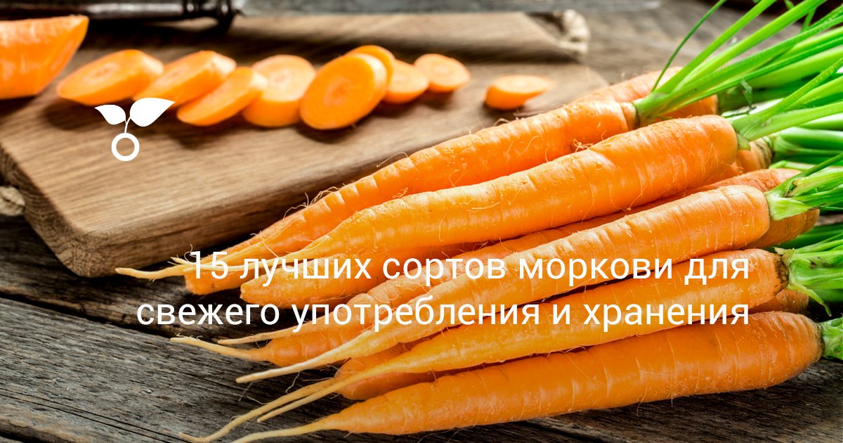 Сорта цветной моркови: подборки сортов с фотографиями и отзывами - выбор самых лучших