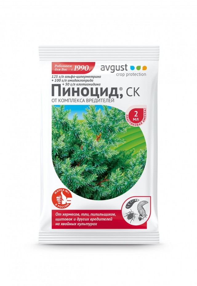 «Фитозонт хвойный», «Ракурс», «Пиноцид» - уникальные препараты для ...