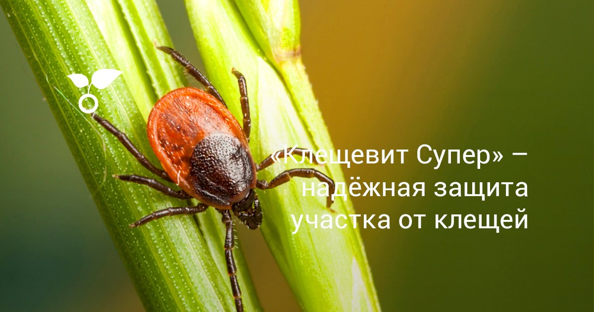 «Клещевит Супер» — надёжная защита участка от клещей — Ботаничка
