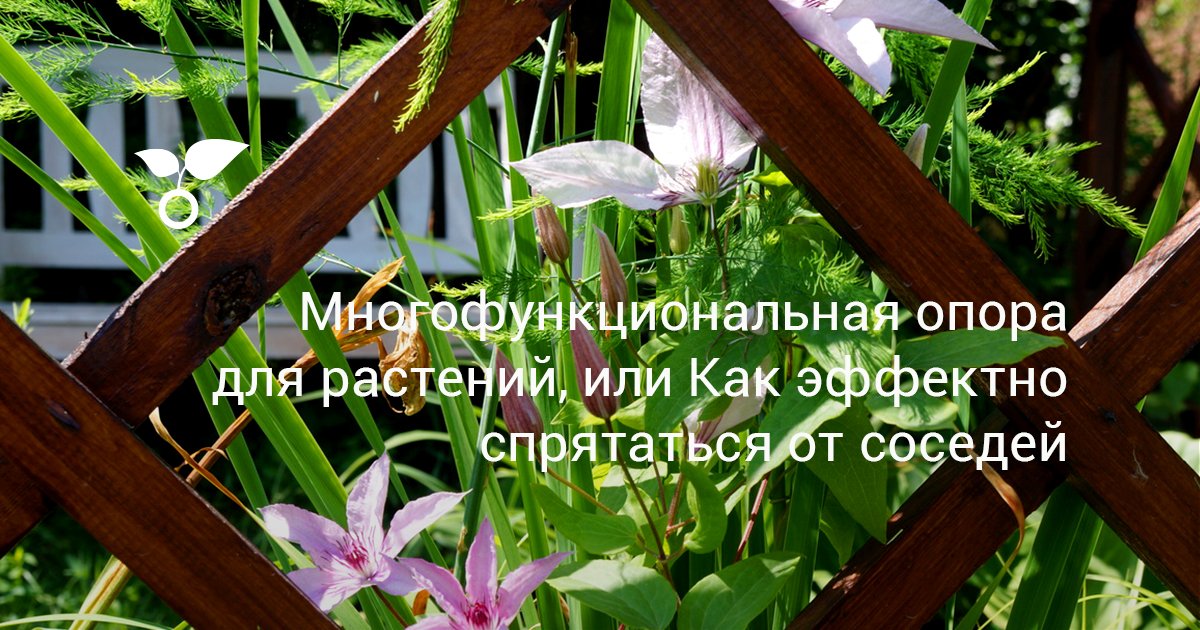 Многофункциональная опора для растений, или Как эффектно спрятаться от ...