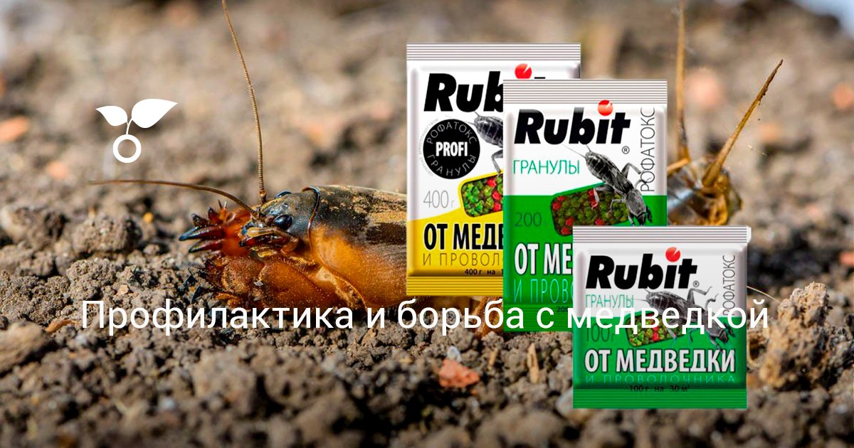 Профилактика и борьба с медведкой. «Рубит Рофатокс» - незаменимое ...