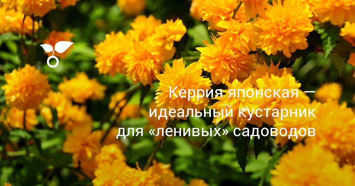 www.botanichka.ru