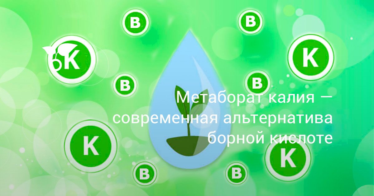 Метаборат калия — современная альтернатива борной кислоте — Ботаничка