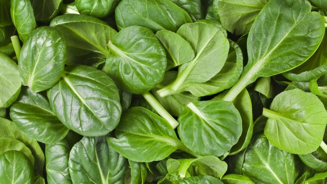 Особенно склонна к накоплению нитратов вся весенняя зелень: салат, шпинат, щавель и др.
