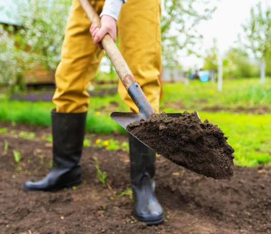 Какая бывает почва, и как её улучшить?