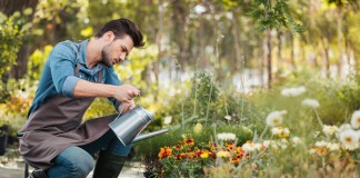 Безопасная защита растений от болезней и вредителей в июле и августе