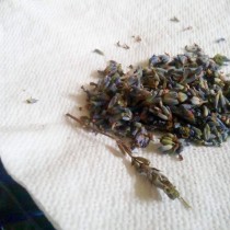 Лавандовый чай заваривают из её цветов