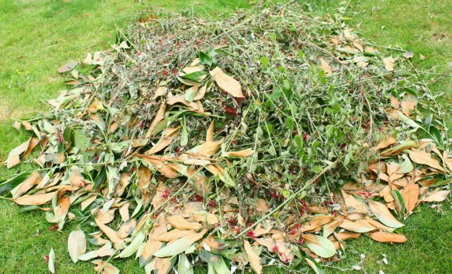 Осеннюю закладку компоста проводят после полной уборки урожая, опадения листьев, пожухлости наземной массы овощных и огородных, тепличных культур