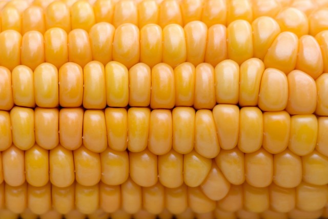 Полезная и вкусная кукуруза — как правильно варить, запекать и замораживать?