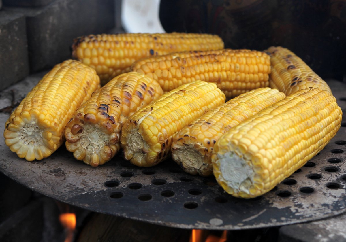 Corn me. Кукуруза на углях. Вареная кукуруза. Сорта кукурузы для варки. Кукуруза на мангале.