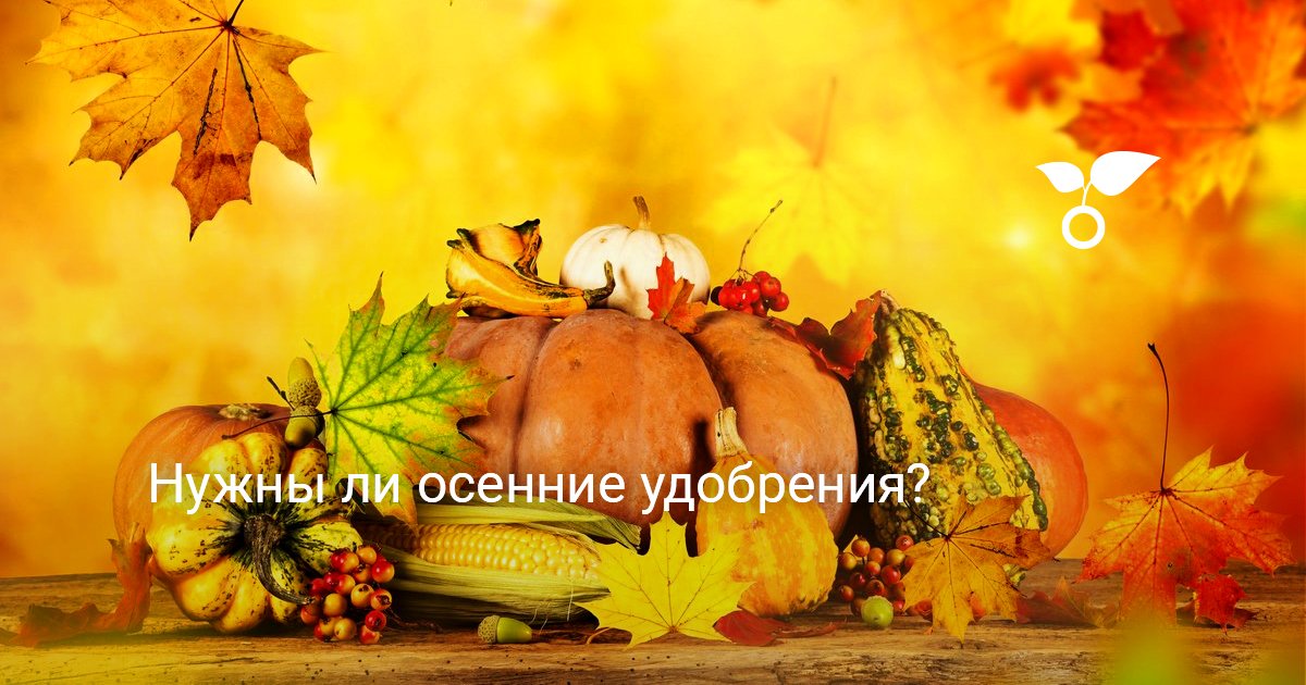 Нужны ли осенние удобрения? — Ботаничка