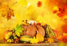 Про удобрения осенние — «Осень» и ОМУ «Осеннее»