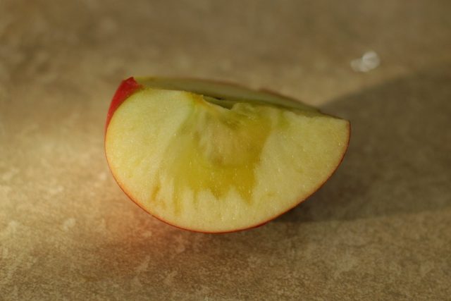 Признак дефицита кальция — стекловидность плодов яблони