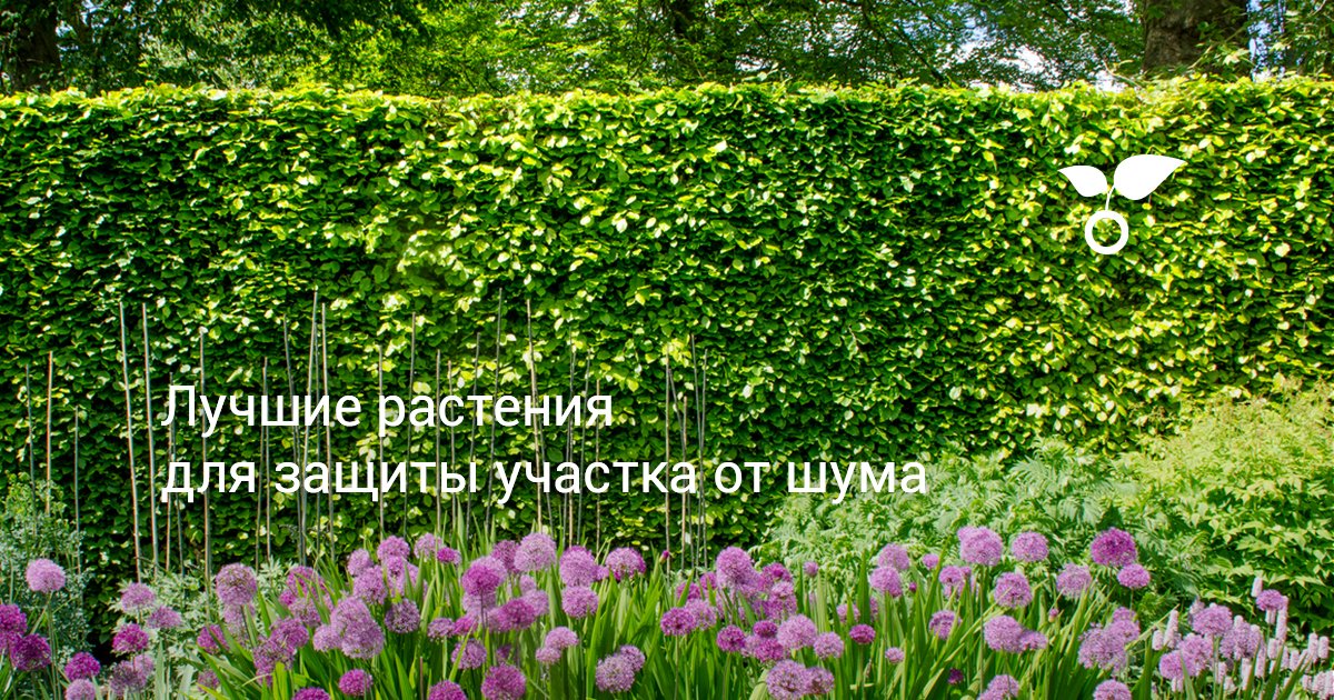 Зона отдыха на даче: 74 фото проектов своими руками | ук-пересвет.рф