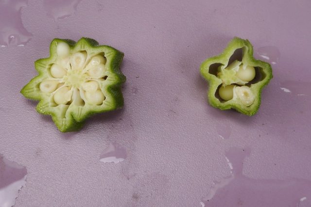 Плод бамии «Дамские пальчики» (справа) значительно уступает сорту «Игл Пасс» (слева)