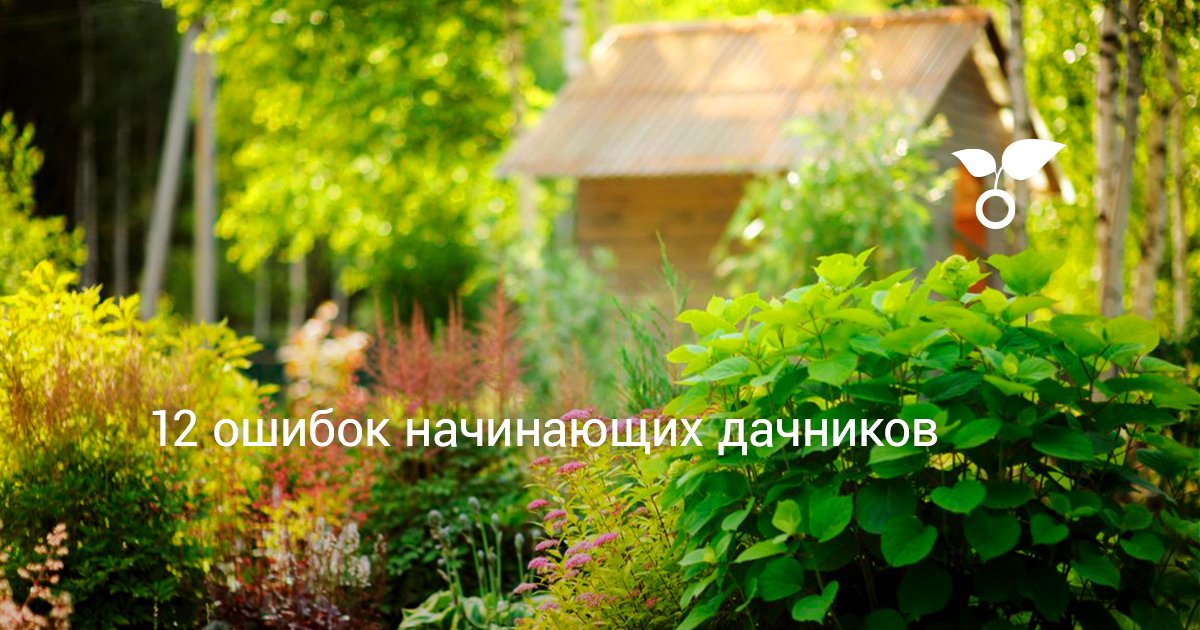 12 ошибок начинающих дачников. Личный опыт — Ботаничка