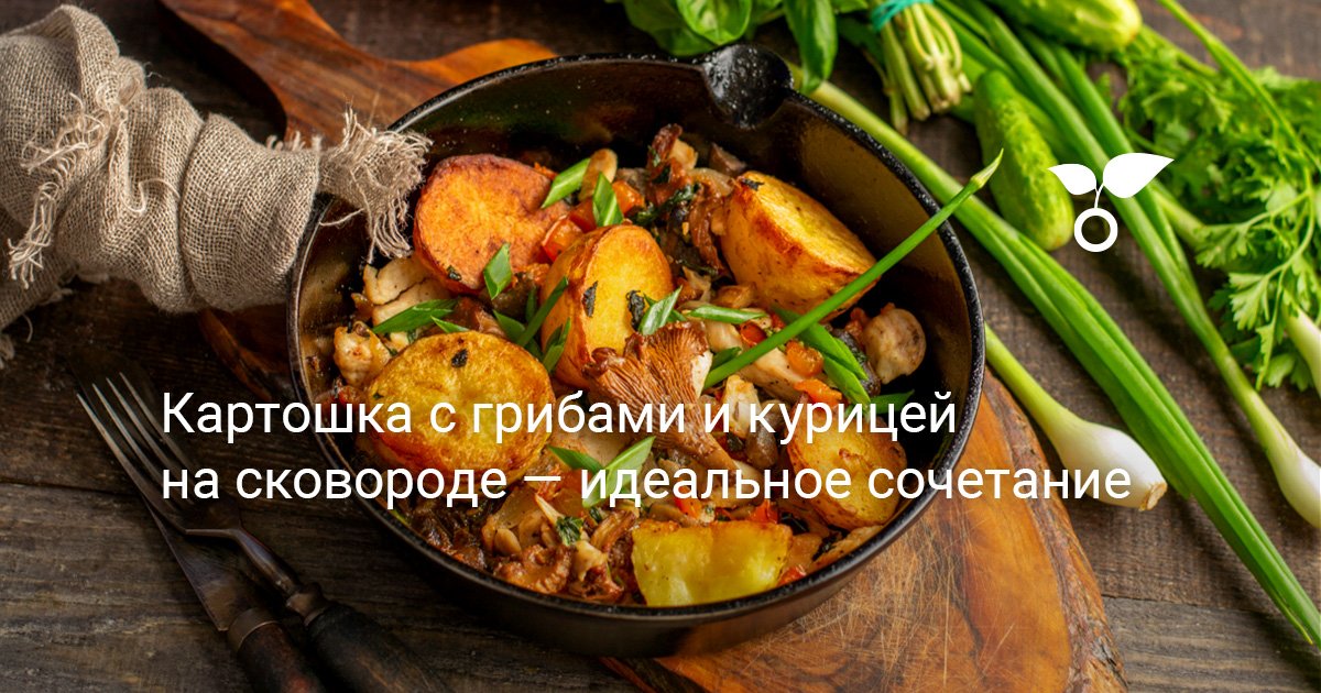 Картошка, запечённая с курицей и грибами - рецепт с фотографиями - Patee. Рецепты